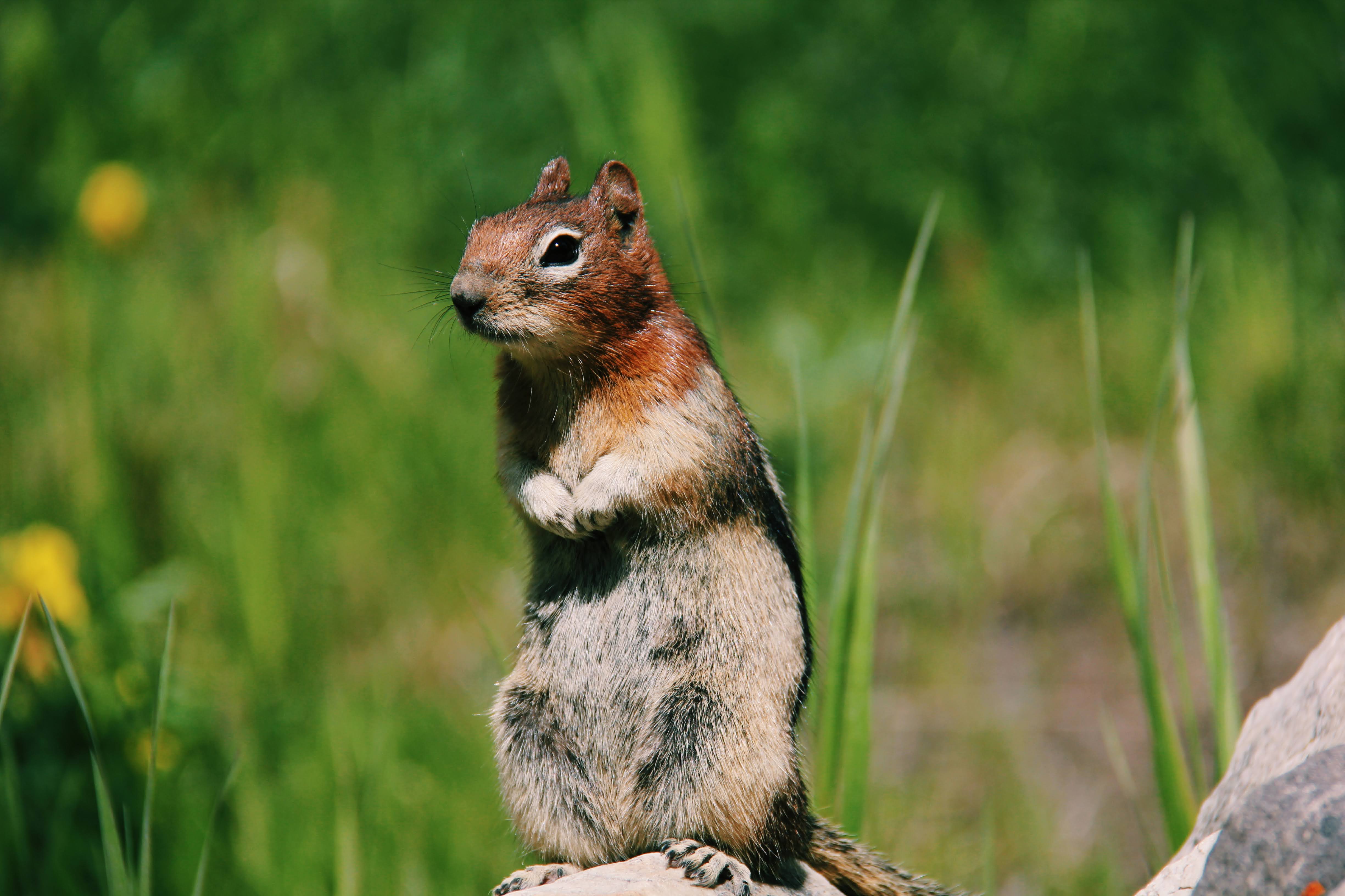 Canada and New York 2011 24